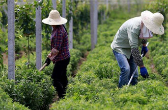 7月30日，河南省中藥材生產(chǎn)工作暨產(chǎn)業(yè)扶貧現(xiàn)場(chǎng)會(huì)在南陽市南召縣成功召開